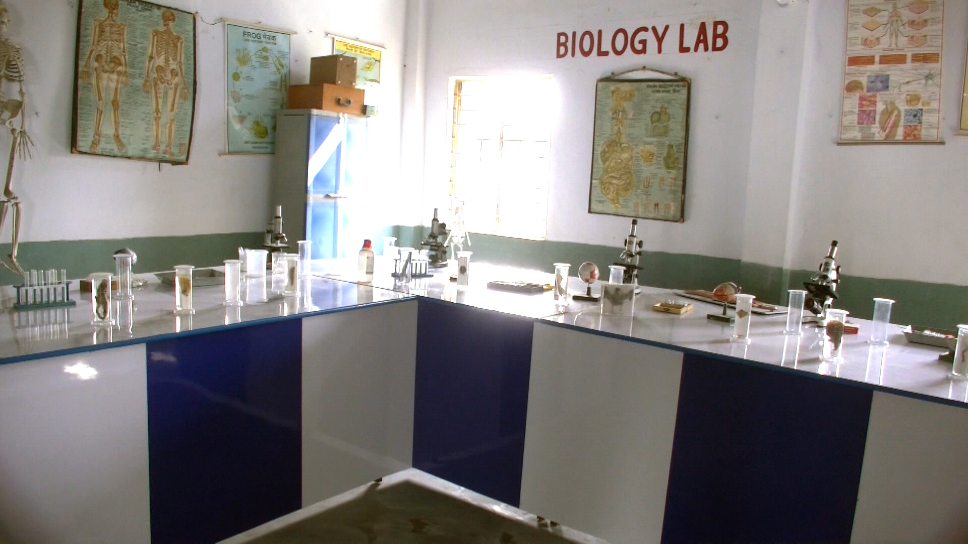 Holy Mission School biology learning environment